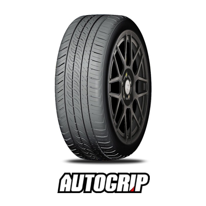 275/30R19 96W AUTOGRIP P308PLUS XL